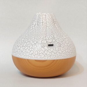 بخور سرد BN224